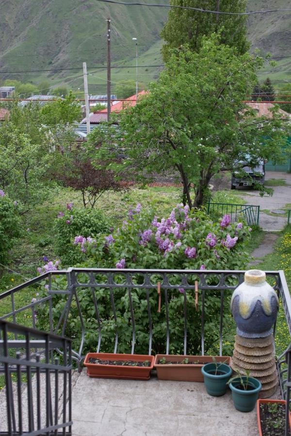 Panorama Kazbegi Hotel Buitenkant foto